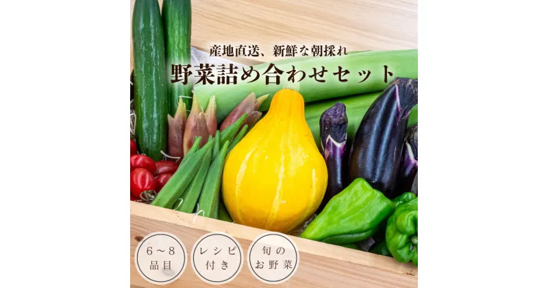 【ふるさと納税】 野菜 セット 6 ～ 8品目 詰め合わせ レシピ 付き 産地直送 高知県 須崎市 なばな 新玉ねぎ そら豆 スナップえんどう 春キャベツ フルーツトマト カラフルじゃが芋 みょうが ズッキーニ オクラ コリンキー かぼちゃ リュウキュウ すじなし豆 トマト 秋 旬