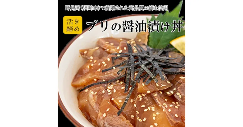 【ふるさと納税】 鰤 漬け丼 60g × 4パック | 海鮮 丼 醤油漬け 活き締め ブリ ぶり 惣菜 漬丼 お手軽 おかず 魚 刺身 小分け ギフト 人気 加工品 お茶漬け 冷凍 時短 国産 産地直送 みなみ丸 高知県 須崎市