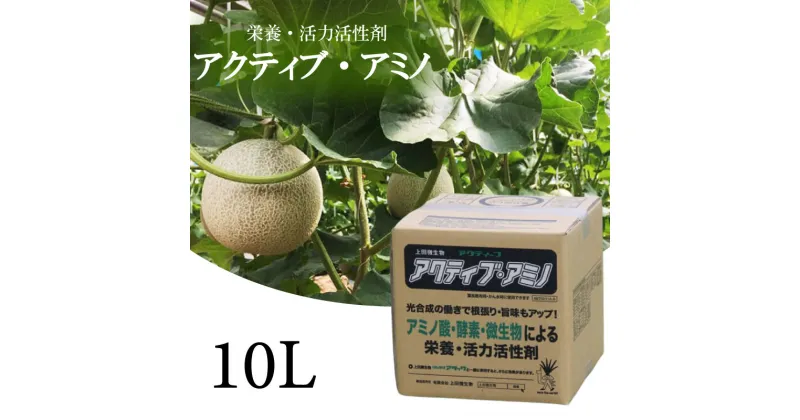 【ふるさと納税】 送料無料 活性剤 10L 1袋 「アクティブアミノ」 花 野菜 栄養剤 活力剤 須崎 高知 UB010