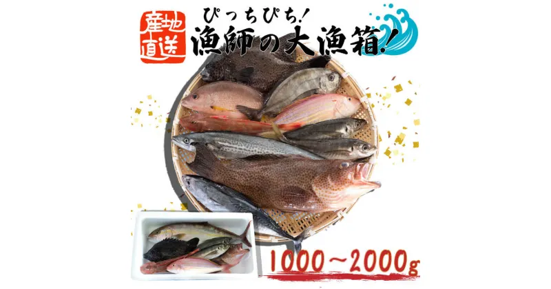 【ふるさと納税】 お楽しみ 鮮魚 ボックス ぴっちぴち 漁師 大漁箱 中 鰹 ヒラメ 鯛 サバ アジ 高知県 須崎市