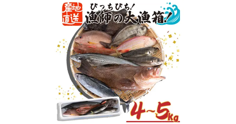 【ふるさと納税】 魚 鮮魚 ボックス 4kg～5kg 旬 鮮度 抜群 おまかせ 詰め合わせ 海鮮 魚介 新鮮 高知県 須崎市 MT005