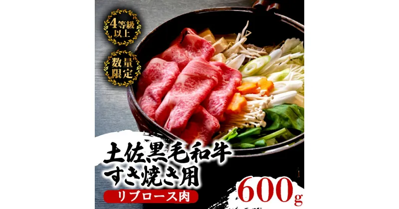 【ふるさと納税】 土佐 黒毛 和牛 すき焼き用 600g | 特撰 リブロース肉 最上位等級 A4 A5 最高ランク 贅沢 すきやき スキヤキ用 鍋 焼肉用 小分け 冷凍 国産 牛肉 高知県 須崎 TM007