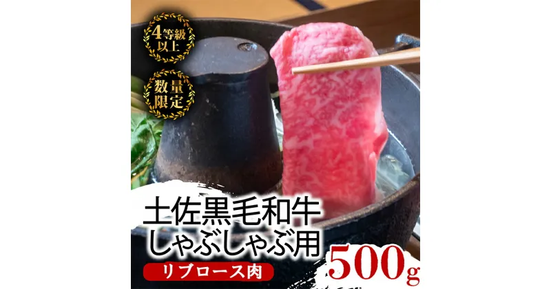 【ふるさと納税】 土佐 黒毛 和牛 しゃぶしゃぶ用 500g | 特撰 リブロース肉 最上位等級 A4 A5 最高ランク 贅沢 しゃぶしゃぶ 鍋 スライス 焼肉用 小分け 冷凍 国産 牛肉 高知県 須崎 TM008