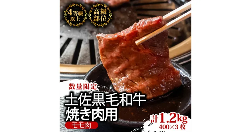 【ふるさと納税】 土佐 黒毛 和牛 焼肉用1.2kg （ 400g × 3パック ） | 特撰 モモ肉 最上位等級 A4 A5 1kg 以上 贅沢 焼き肉 やきにく 小分け 冷凍 国産 ブランド 和牛 牛肉 大人気 ギフト おすすめ ランキング 限定 BBQ バーベキュー アウトドア 高知県 須崎 TM012