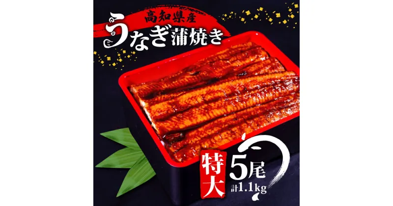 【ふるさと納税】 肉厚 うなぎ の 蒲焼き 220g × 5尾 自家製 タレ セット 冷凍 頭付き 鰻 手焼き 蒲焼 タレ付き ふっくら 香ばしい うなぎ蒲焼き 鰻蒲焼 養殖鰻 養殖うなぎ 国産うなぎ 惣菜 真空パック 温めるだけ 簡単調理