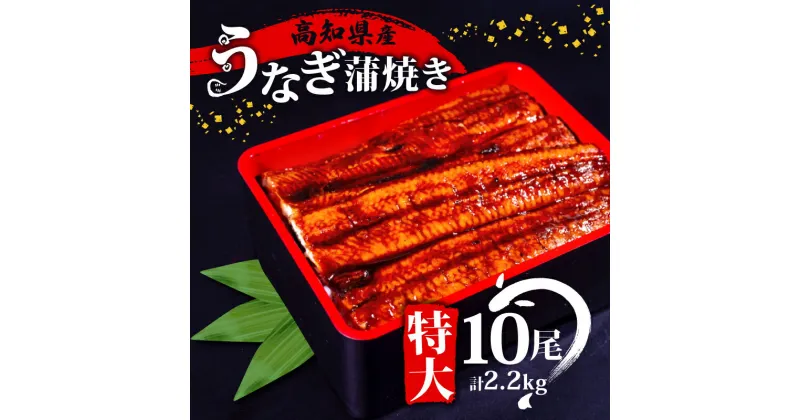 【ふるさと納税】 肉厚 うなぎ の 蒲焼き 220g × 10尾 自家製 タレ 10個 セット 頭付き 鰻 手焼き 蒲焼 タレ付き ふっくら 香ばしい うなぎ蒲焼き 鰻蒲焼 高知県産 国産 養殖鰻 養殖うなぎ 冷凍 惣菜 真空パック 温めるだけ 簡単調理 高知県 須崎市