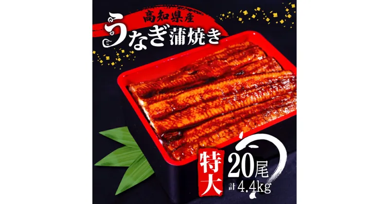 【ふるさと納税】 肉厚 うなぎ の 蒲焼き 220g × 20尾 自家製 タレ 20個 セット 頭付き 鰻 手焼き 蒲焼 タレ付き ふっくら 香ばしい うなぎ蒲焼き 鰻蒲焼 高知県産 国産 養殖鰻 養殖うなぎ 冷凍 惣菜 真空パック 温めるだけ 簡単調理 高知県 須崎市