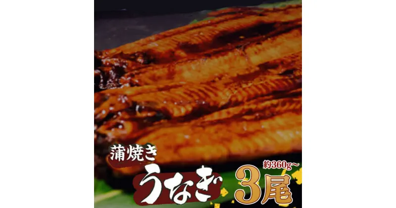 【ふるさと納税】 有頭 うなぎ 蒲焼 3尾 360g以上（ 120g～140g × 3尾 ） | 鰻 ウナギ 蒲焼 蒲焼き 大人気 タレ スタミナ 夏バテ 小分け 真空包装 冷凍 台湾産 養殖 高知県 須崎市 ME0121_x