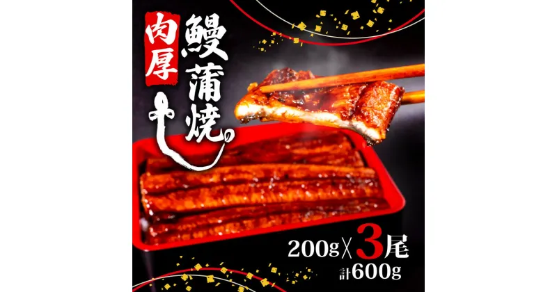 【ふるさと納税】 うなぎ蒲焼き 200g 3尾 セット 頭付き 鰻 手焼き 蒲焼 タレ付き ふっくら 香ばしい うなぎ蒲焼き 鰻蒲焼 台湾産 養殖鰻 養殖うなぎ 冷凍 惣菜 真空パック 温めるだけ 簡単調理 高知県 須崎市