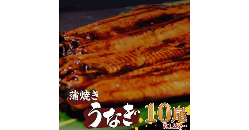 【ふるさと納税】 有頭 うなぎ 蒲焼 10尾 1.2kg以上（ 120g～140g × 10尾 ） | 鰻 ウナギ 蒲焼 蒲焼き 大人気 タレ スタミナ 夏バテ 小分け 真空包装 冷凍 台湾産 養殖 高知県 須崎市 ME0171