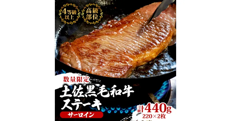 【ふるさと納税】 サーロインステーキ 440g ( 220g × 2枚 ) 土佐 黒毛 和牛 | 特撰 サーロイン肉 最上位等級 A4 A5 最高 ランク 贅沢 厚切り ステーキ用 焼肉用 キャンプ飯 国産 牛肉 高知県 須崎市 TM010