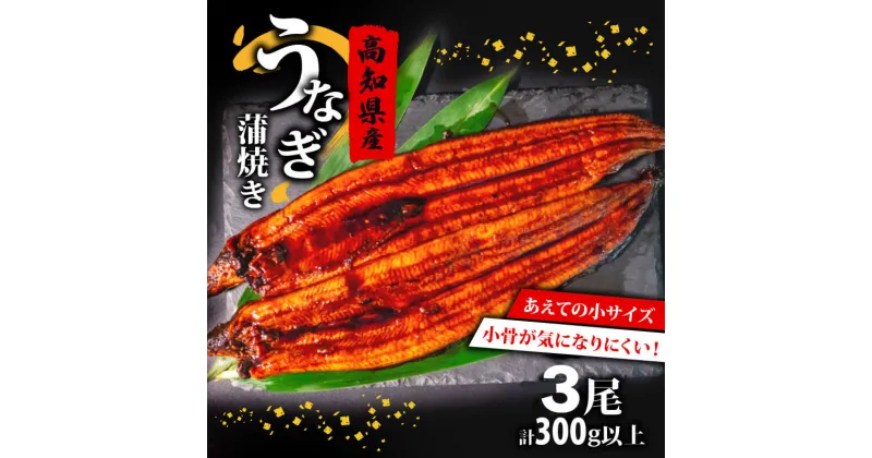 【ふるさと納税】 肉厚 うなぎ の 蒲焼き 100g ～ 120g × 3尾 計 300g 以上 自家製 タレ 3個 セット 頭付き 鰻 手焼き 蒲焼 タレ付き ふっくら 香ばしい うなぎ蒲焼き 鰻蒲焼 高知県産 国産 養殖鰻 養殖うなぎ 冷凍 惣菜 真空パック 温めるだけ 簡単調理 高知県 須崎市