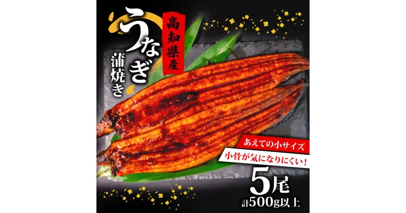 【ふるさと納税】 高知県産 養殖 うなぎ 蒲焼 100g～120g×5尾 セット タレ付き 贈答 養殖 肉厚 鰻 土用丑の日 敬老の日 高知県 須崎市