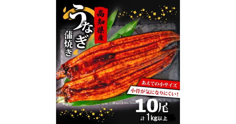 【ふるさと納税】 高知県産 養殖 うなぎ 蒲焼 100g～120g×10尾 セット タレ付き 贈答 養殖 肉厚 鰻 土用丑の日 敬老の日 高知県 須崎市