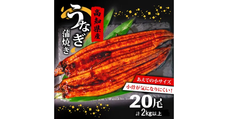 【ふるさと納税】 国産 高級 うなぎ 蒲焼 100g～120g 計 20尾 セット タレ付き 贈答 養殖 肉厚 鰻 土用丑の日 敬老の日 高知県 須崎市