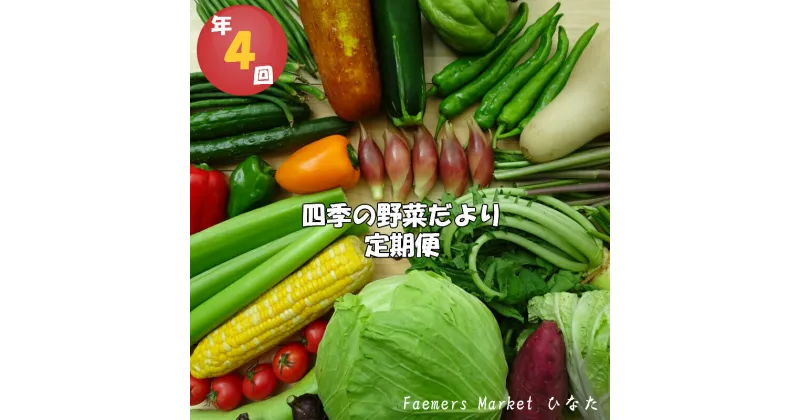 【ふるさと納税】 定期便 年 4回 野菜 おまかせ セット 10 〜 14種 春夏秋冬 なばな 新玉ねぎ そら豆 春キャベツ トマト じゃが芋 みょうが オクラ 栗 しょうが キク芋 須崎 高知 HNT2000人気 ランキング 食品 お楽しみ バラエティ おすすめ 4ヶ月 健康