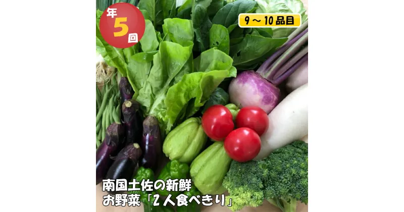 【ふるさと納税】 数量限定 定期便 野菜 5回 9～10種類程度 2人暮らしにぴったり 南国土佐のお野菜食べきりサイズ セット 限定80セット 詰め合わせ 季節 新鮮 産地直送 春夏秋冬 旬 高知県 須崎市 NK2000人気 ランキング 食品 お楽しみ バラエティ おすすめ 5ヶ月