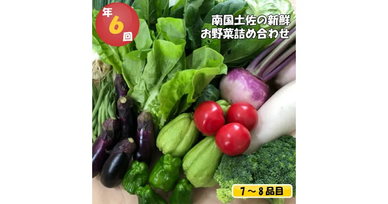 【ふるさと納税】 数量限定 定期便 野菜 7～8品目 6回 南国土佐の新鮮お野菜 詰め合わせ お楽しみ セット 限定100セット 詰め合わせ 季節 新鮮 産地直送 高知県 須崎市 NK3000人気 ランキング 食品 お楽しみ バラエティ おすすめ 6ヶ月 春夏秋冬 旬