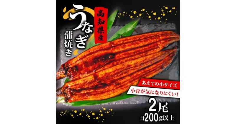 【ふるさと納税】 国産 高級 うなぎ 蒲焼 100g～120g 計 2尾 セット タレ付き 贈答 養殖 肉厚 鰻 土用丑の日 敬老の日 高知県 須崎市