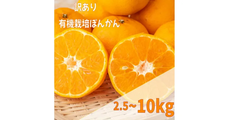 【ふるさと納税】 【早期予約 2025年2月上旬より順次発送】 訳あり ぽんかん 2.5 ~ 10kg サイズ混合 オーガニック 無農薬 防腐剤 不使用 有機 JAS認定 柑橘 みかん 蜜柑 家庭用 ふるさと納税柑橘 先行予約 ふるさと納税ぽんかん くだもの