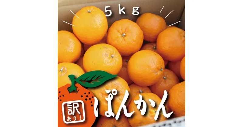 【ふるさと納税】 訳あり ぽんかん 5kg 2025年度分 サイズ混合 柑橘 みかん 蜜柑 家庭用 高知県 須崎市 ( ふるさと納税 ランキング キャンペーン やり方 限度額 仕組み シミュレーション )