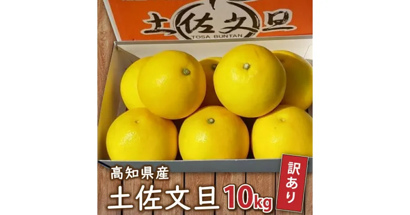 【ふるさと納税】 訳あり 文旦 10kg 家庭用 早期予約 土佐文旦 みかん 柑橘 フルーツ 2025年 2月 より 発送 早期予約 早期 予約 季節限定 期間限定 高知県 須崎市