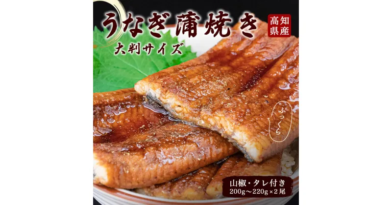 【ふるさと納税】 うなぎ 蒲焼 200g×2尾 高知県産 鰻 うなぎの蒲焼き タレ付 冷凍 うな丼 うな重 高知県 須崎市