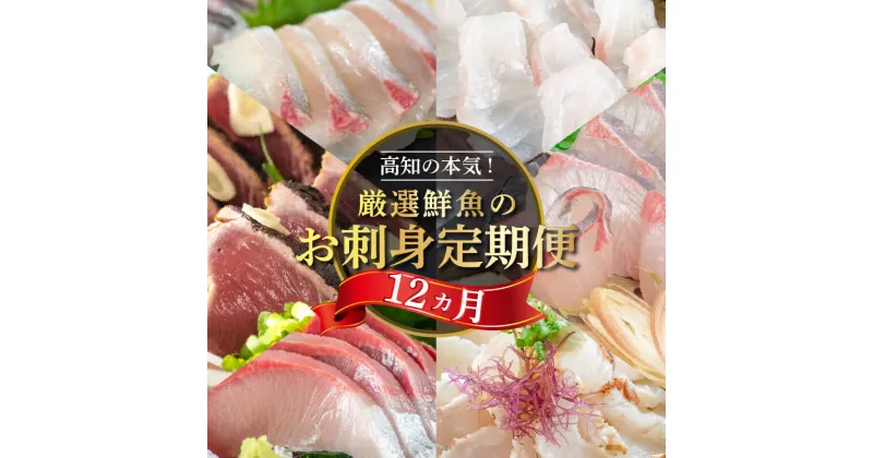 【ふるさと納税】 新鮮 刺身 が 毎月 届く 定期便 1年間 12回 鮮魚 お楽しみ定期便 ブリ カンパチ タイ シマアジ カツオ の タタキ 魚 産地直送 鰤 鯛 勘八 間八 縞鯵 鰹 藁焼き 大容量 たっぷり 簡単調理 贅沢 高知 高知県 須崎市 港町 (クラウドファンディング対象)