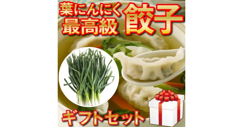 【ふるさと納税】 化粧箱入り 有機 葉ニンニク と 四万十豚で作った 最高級 餃子 ギフト セット 高知県 須崎市 EA0821