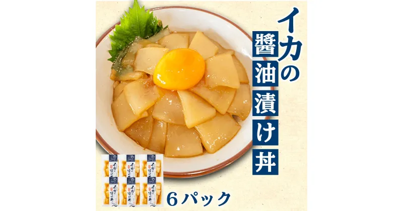 【ふるさと納税】 イカ 漬け丼 6パック セット 醤油 アカイカ 漁師飯 特製 新鮮 個包装 便利 どんぶり お手軽 冷凍 高知県 須崎市