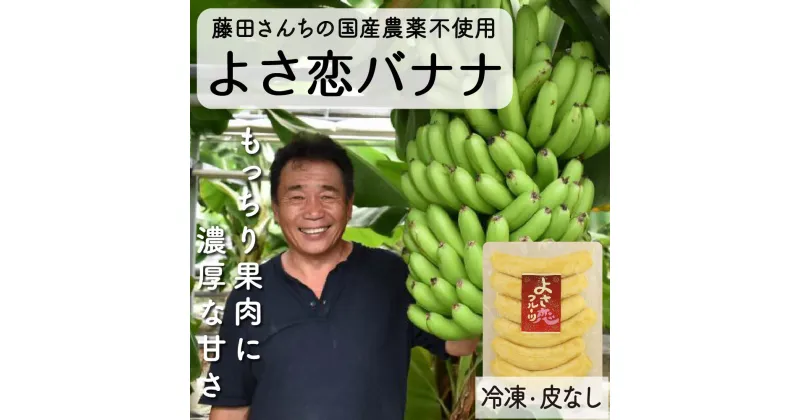 【ふるさと納税】 無農薬 冷凍 バナナ パック 800g 国産 藤田さんちの無農薬バナナ 化学肥料不使用 高知県 須崎市