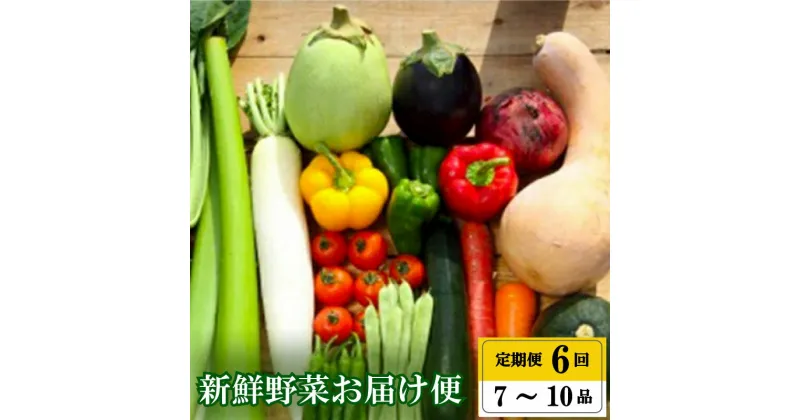 【ふるさと納税】 【年末限定】 全 6回 6ヶ月 半年 定期便 季節 旬の 野菜 7 ～ 10品 詰め合わせ セット 高知県 須崎市人気 ランキング 食品 お楽しみ バラエティ おすすめ