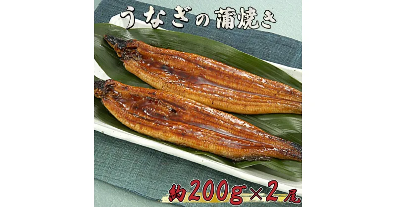 【ふるさと納税】うなぎ 鰻 蒲焼 約 200g 2尾 減塩 醤油 ベース 蒲焼き タレ 付き 養殖 高知県 須崎市