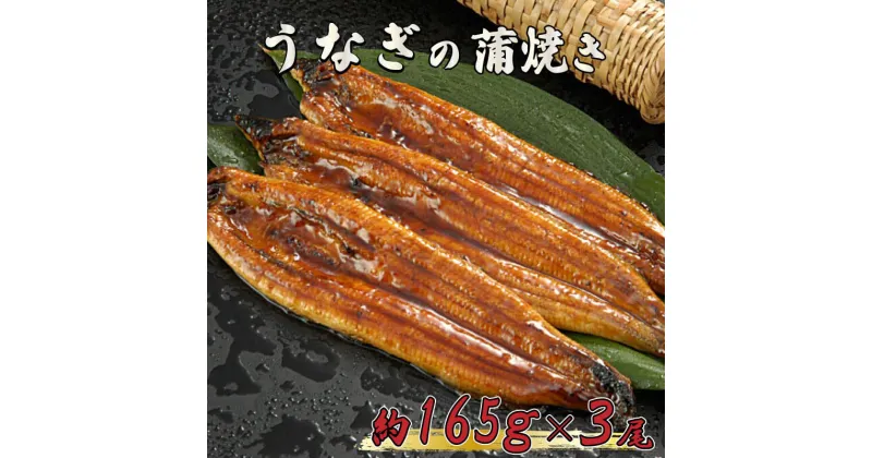 【ふるさと納税】 うなぎ 鰻 蒲焼 約 165g 3尾 減塩 醤油 ベース 蒲焼き タレ 付き 養殖 高知県 須崎市