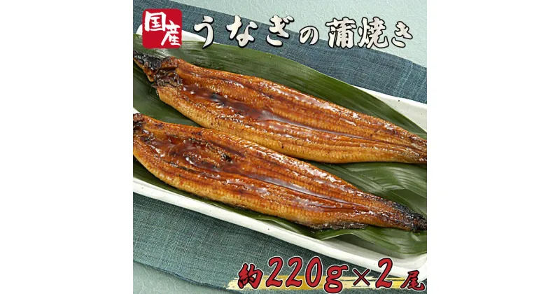 【ふるさと納税】うなぎ 国産 高知県産 鰻 蒲焼 約 220g × 2尾 減塩 醤油 ベース 蒲焼きのタレ 付き 養殖 高知県 須崎市