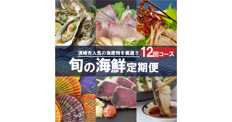 【ふるさと納税】 定期便 12回 お楽しみ 海鮮 牡蠣 伊勢海老 勘八 貝 サザエ はまぐり 赤貝 ホンビノス貝 かつお かつおのたたき 食べ比べ たたき 刺身 産地直送 魚介 貝 須崎市