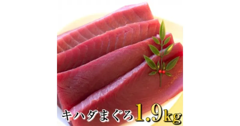 【ふるさと納税】 訳あり マグロ 赤身 1.9kg キハダマグロ 刺身 漬けまぐろ ステーキ 冷凍 家庭用 高知県 須崎市