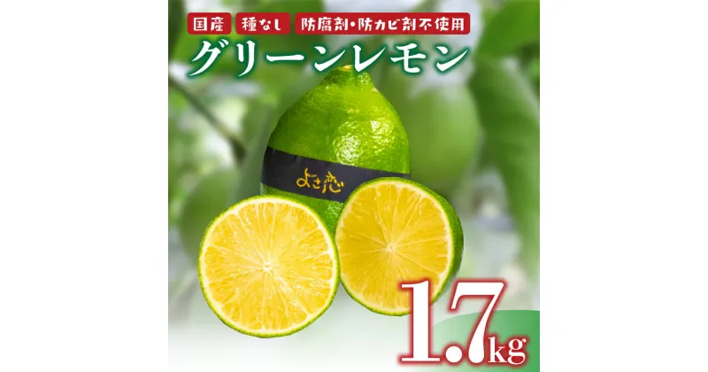 【ふるさと納税】 レモン グリーンレモン 12個 1.5kg 程度 種無し 有機栽培 無農薬 国産 マーマレイド レモンスカッシュ 高知県 須崎市