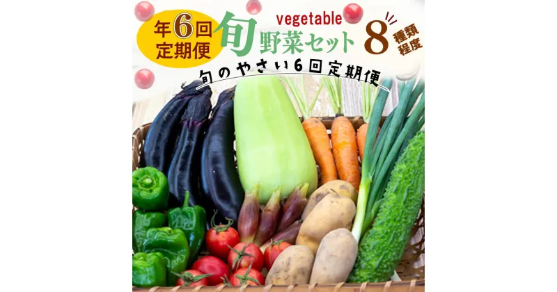 【ふるさと納税】 定期便 年 6回 野菜 旬 セット お楽しみ 約 8品目 やさい セット 旬 春 夏 秋 冬 採れたて 新鮮 農家 直送 詰め合わせ 国産 野菜便 季節 フレッシュ 果物 フルーツ 大根 白菜 ME3000人気 ランキング 食品 お楽しみ バラエティ おすすめ 6ヶ月 ME3000_x