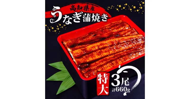 【ふるさと納税】 肉厚 うなぎ の 蒲焼き 220g × 3尾 自家製 タレ セット 冷凍 頭付き 鰻 手焼き 蒲焼 タレ付き ふっくら 香ばしい うなぎ蒲焼き 鰻蒲焼 養殖鰻 養殖うなぎ 国産うなぎ 惣菜 真空パック 温めるだけ 簡単調理