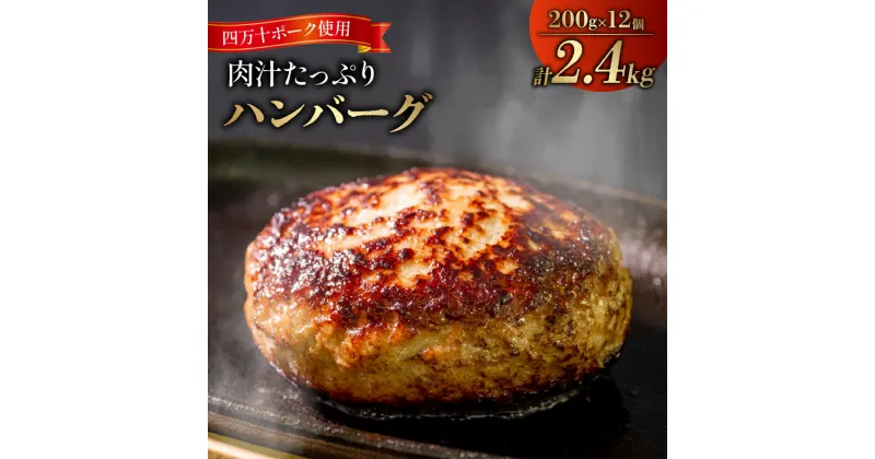 【ふるさと納税】 肉汁 たっぷり ハンバーグ 四万十ポーク 入り 1.2kg 2.4kg 3.6kg ( 200g x 6個 ／ 12個 ／18個 ) 選べる 容量 最短発送 個包装 化学調味料 不使用 保存料 無添加 高知県 須崎市 ブランド豚 合挽き ジューシー 送料無料 贈答 (クラウドファンディング対象)