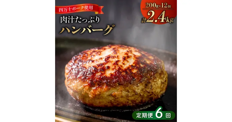 【ふるさと納税】 6ヶ月 定期便 四万十 ポーク 入り ハンバーグ 2.4kg ( 200g × 12個 ) 6回 冷凍 真空 小分け 個包装 肉汁たっぷり 大容量 合挽き 牛肉 豚肉 お弁当 おかず 惣菜 晩ごはん 贅沢 SNM1000人気ランキング 食品 お肉 お楽しみ バラエティ おすすめ 6回