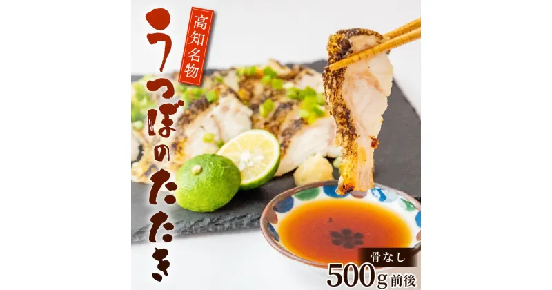 【ふるさと納税】 うつぼのたたき 500g 前後 骨なし 冷凍 天然 コラーゲン ウツボ 高知 名物 タタキ 珍味 魚 刺身