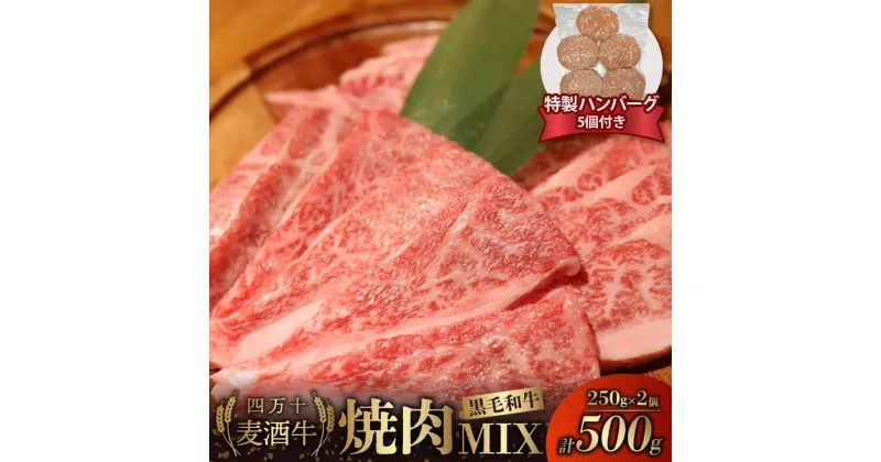 【ふるさと納税】 牛肉 焼肉用 ミックス 500g ( 250g × 2パック ) 合い挽きハンバーグ 150g × 5個 セット 冷凍 四万十麦酒牛