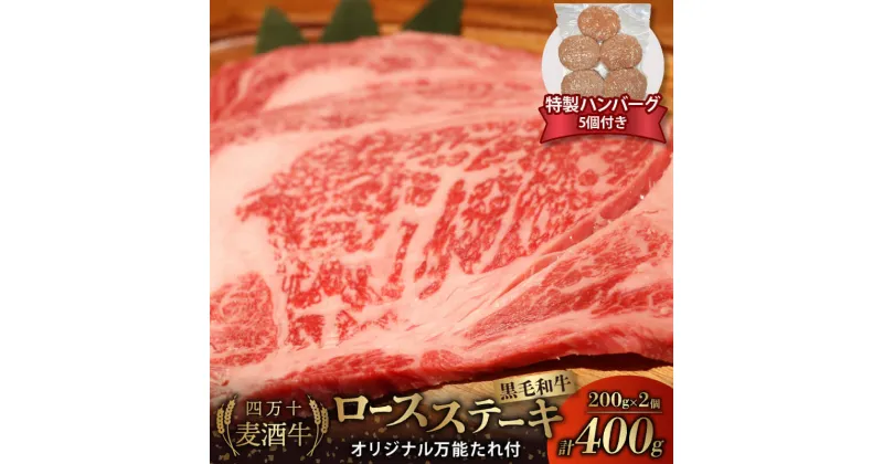 【ふるさと納税】 牛肉 ロース ステーキ 400g ( 200g × 2枚 ) オリジナル 万能ダレ付き ハンバーグ 合い挽き 150g × 5個 セット 冷凍 四万十麦酒牛