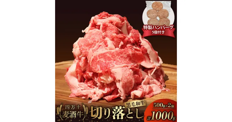 【ふるさと納税】 牛肉 切り落とし 1000g ( 500g × 2パック ) ハンバーグ 合い挽き 150g × 5個 セット 冷凍 四万十麦酒牛