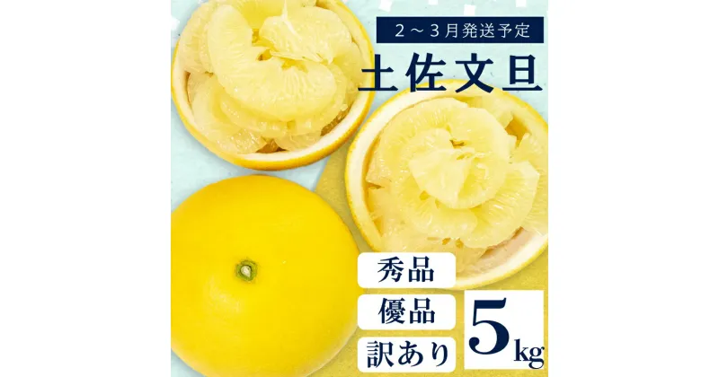 【ふるさと納税】 【 2月 上旬 から 発送 】 秀品 優品 訳あり 文旦 高知 5kg L ～ 4L サイズ 混合 浦ノ内特産 早期予約 予約受付中 期間限定 季節限定 限定 旬 みかん ミカン ぶんたん 高知県 土佐文旦 柑橘 家庭用