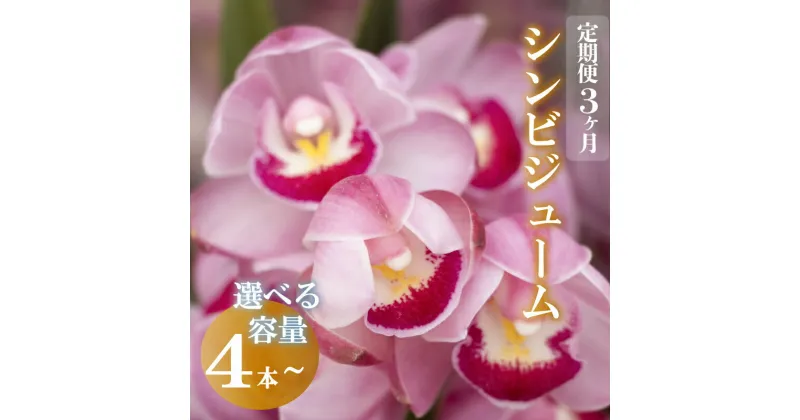 【ふるさと納税】 【定期便3ヶ月】【12月から発送】シンビジューム 切り花 4~6本 お花 花 はな フラワー 花束 フラワーアレンジメント インテリア 鑑賞 洋ラン 鉢 栽培 園芸 ガーデニング 初心者向け 花瓶 早期予約