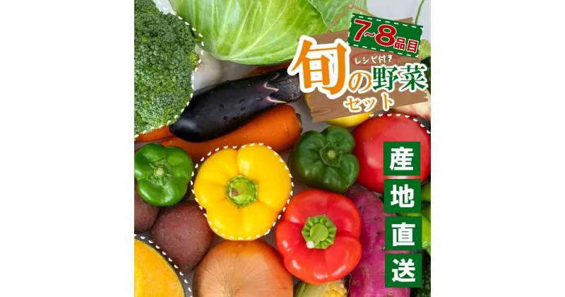 【ふるさと納税】 旬の野菜 選べる容量 定期便 おためし 1回 3回 6回 12回 お届け 新鮮 旬 朝採れ 季節野菜 7品 ～ 8品 須崎 高知 NPO 食品 お楽しみ 特産品 野菜 ベジタブル バラエティ おすすめ