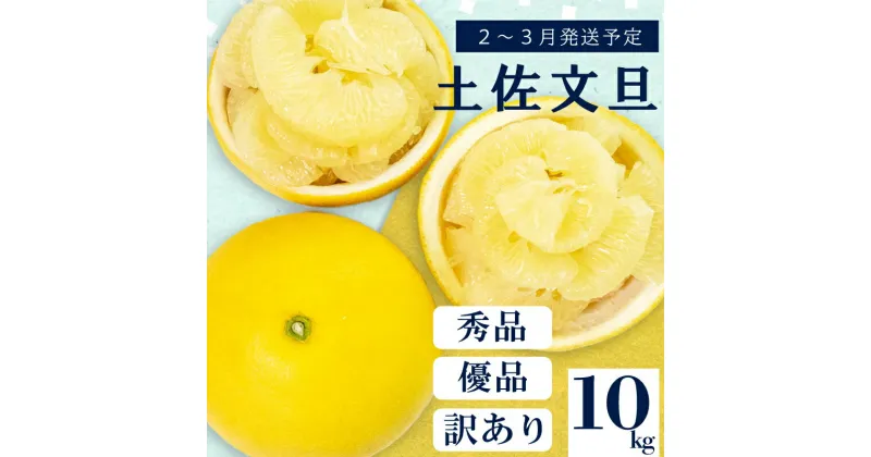 【ふるさと納税】 【 2月 上旬 から 発送 】 秀品 優品 訳あり 文旦 高知 10kg L ～ 4L サイズ 混合 浦ノ内特産 早期予約 予約受付中 期間限定 季節限定 限定 旬 みかん ミカン ぶんたん 高知県 土佐文旦 柑橘 家庭用